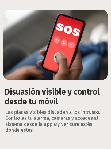 Seguridad inteligente
